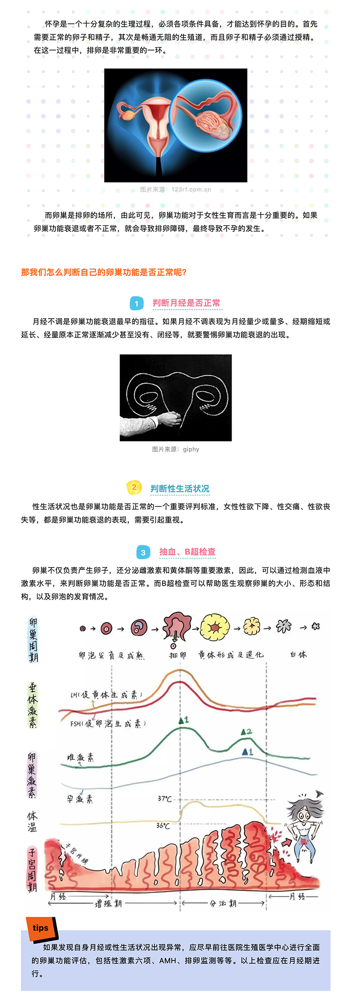 卵巢功能.png