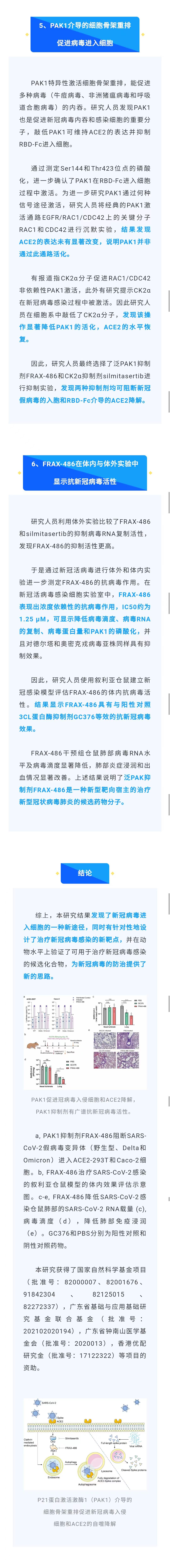 10.11官网-新冠新途径2.jpg